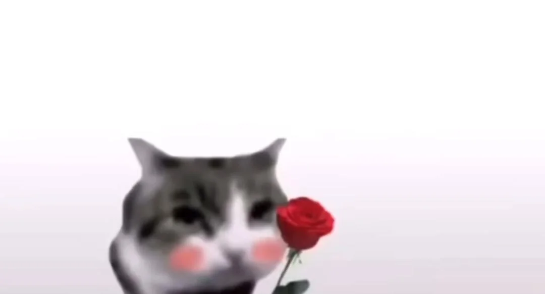 Cat with Rose